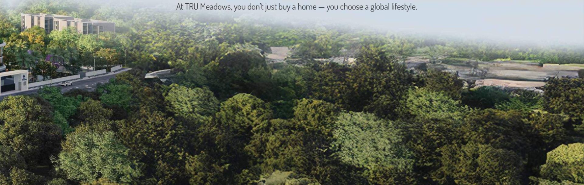 Tru Meadows